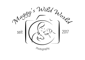 Logo_Margarethe_Stich-König