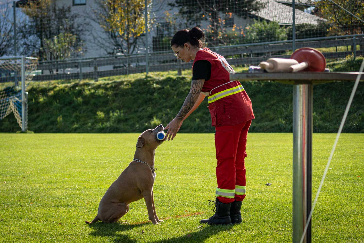 ÖRHB Sieger:in 2025