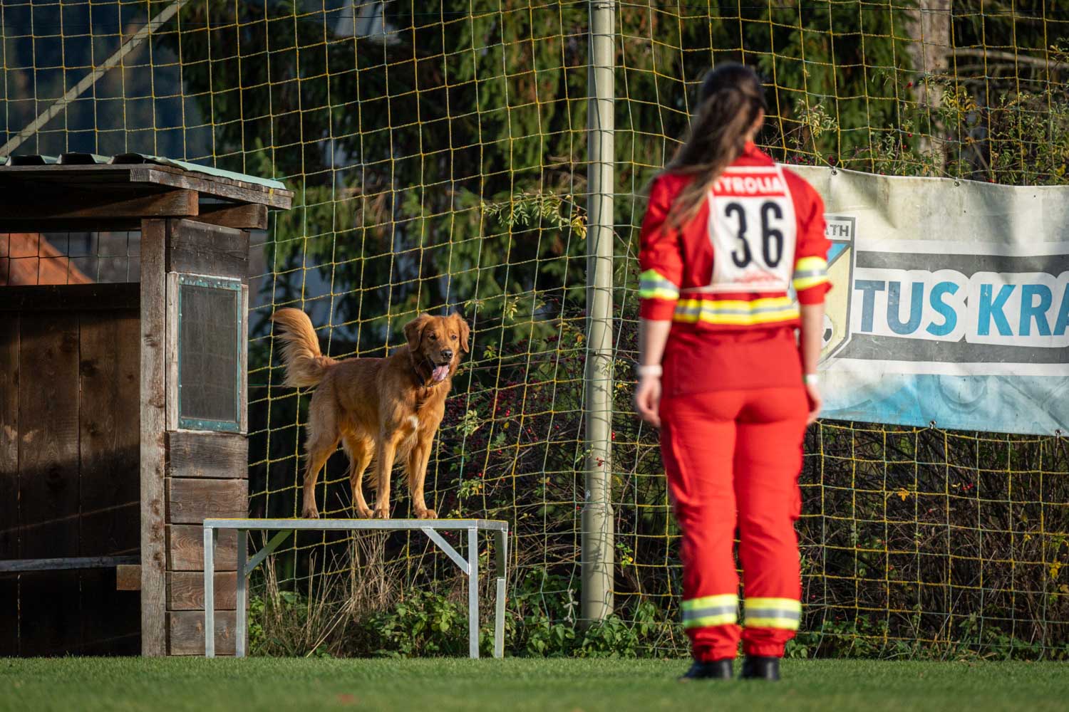 ÖRHB Sieger:in 2025